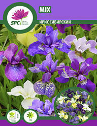 Ірис сибірський(суміш)