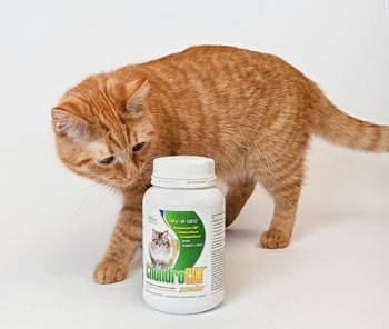 ORLING Chondrocat - Хондрокет добавка к корму для кошек с коллагеновыми пептидами 180г