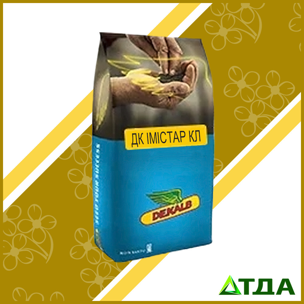 Өзенде жыныстық қатынасқа түскен студенттер (порно видео)