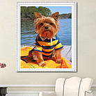 Алмазна вишивка йоркширський тер'єр 30х40 см, часткова викладка, фото 2