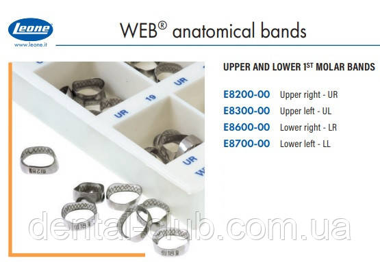 Бандажне кільце ВЕБ-без замків на перші моляри, Leone (Леоне) верх ліво, фото 1