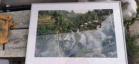 Картина в рамці "Тропіки" 45х65 № 9-907