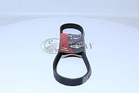 Ремінь генератора ВАЗ 1118 Калина (ручковий) 882 1118-1041020 Vortex