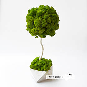 Декоративне дерево, топіарій зі справжнім мохом Fresh Tree, 30 cm, T11