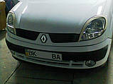 Вії LASSCAR на Renault Kangoo, фото 4