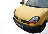 Вії LASSCAR на Renault Kangoo, фото 3