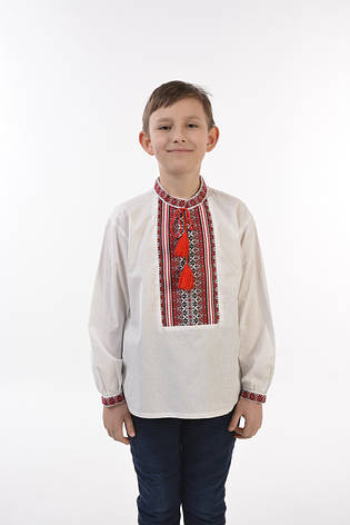 Вишиванка для хлопчиків бавовна/поплін, фото 1