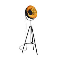 Торшер ZUMA LINE TS-090522F-BK ANTENNE