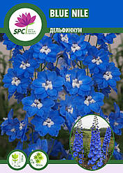 Дельфініум Blue Nile