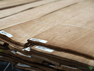 Шпон Вишня Американська 0,6 мм - довжина від 1 до 2 м / ширина від 12 см+ (I ґатунок)