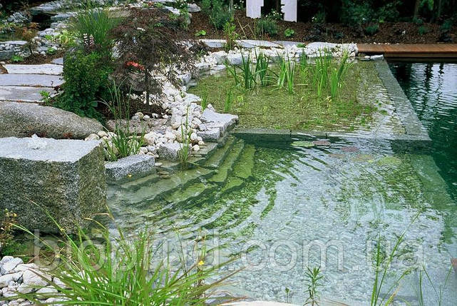 Побудувати водойму для риби., фото 1