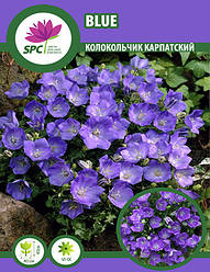 Дзвіночок карпатський Blue