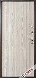 Вхiдні Дверi  Aztec  ST_Kale, фото 2
