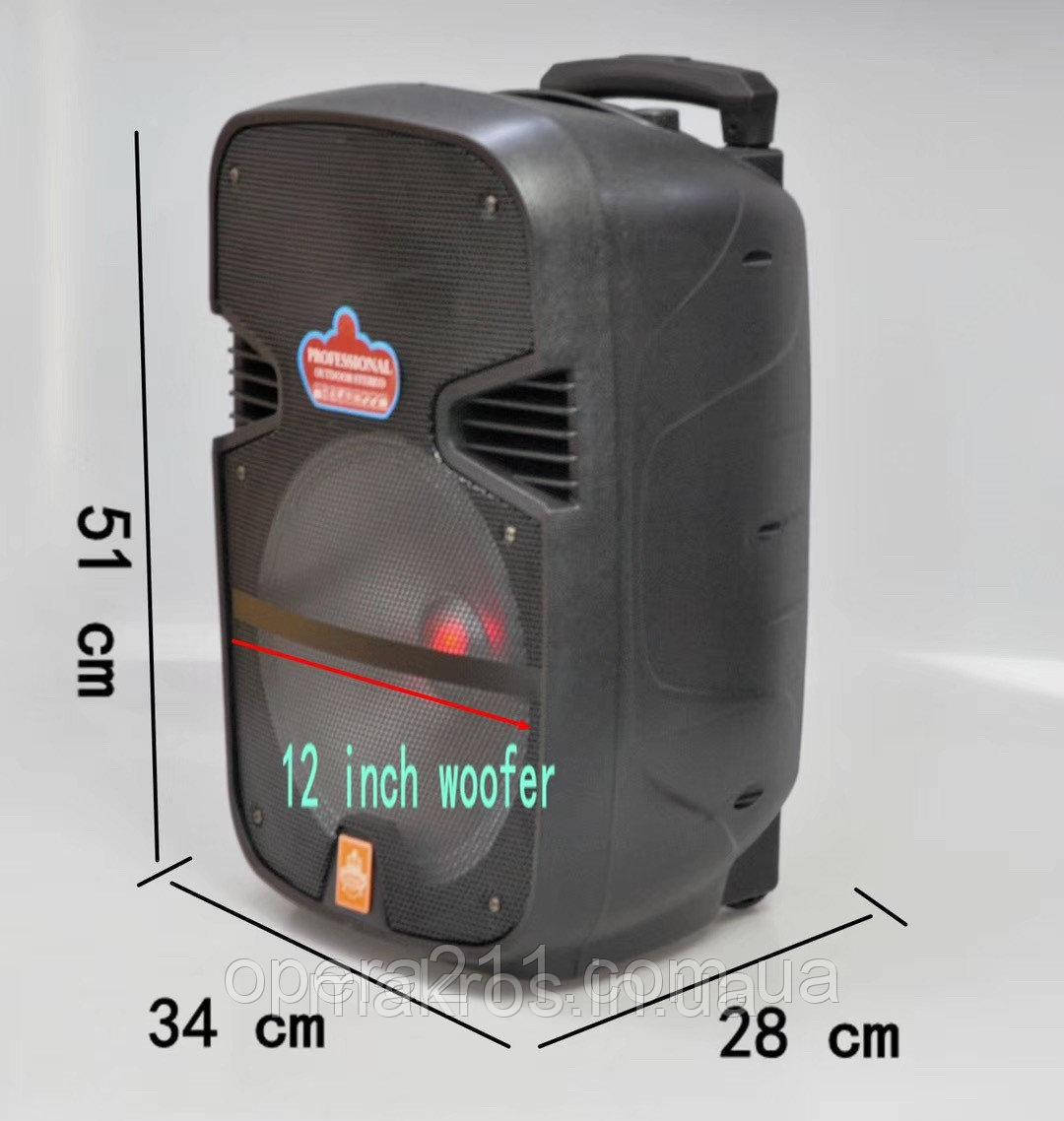 Акустична система Fuhao FH-D12, фото 1