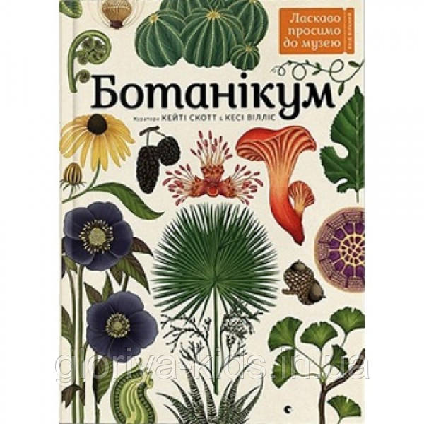 Книга Ботанікум