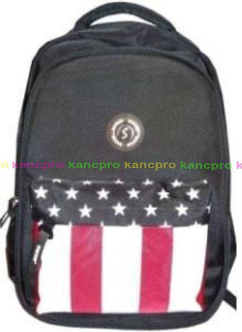 Ранець шкільний ортопедичний 9785 ж SAF, фото 2