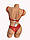 Комплект білизни: бюстгальтер push up і трусики бразиліана Алюр 53 червоний, фото 3