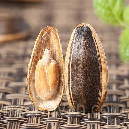 Смажені насіння соняшника 108 г медовий смак, фото 2