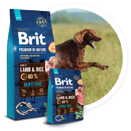 Сухий корм Brit Premium Dog Sensitive Lamb для собак з чутливим травленням з м'ясом ягняти, фото 1