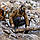 Бейсболка 5.11® Multicam Snap Back - Мультикам, фото 7
