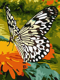 Картина за номерами 30х40см art312