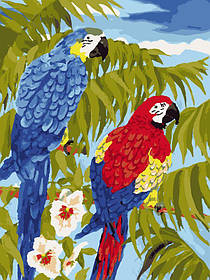 Картина за номерами 30х40см art319