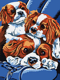 Картина за номерами 30х40см art321