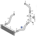 Патрубок інтеркулера VW Crafter 30-50 2.5TDI (65-120kw) L, фото 2