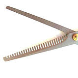 Ножиці перукарські філіровочні навчальні  6.0 SPL 91301, фото 4