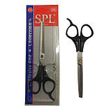 Ножиці перукарські філіровочні навчальні 5.5 SPL 91401, фото 2