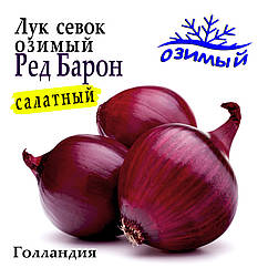 Цибуля сівок озима Ред Барон (Red Baron), Broer Голландія, 500 г