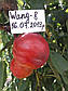 Саджанці нектарина Ванг — 8 (США), фото 5