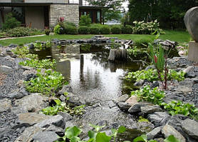 Декоративний Биопруд.