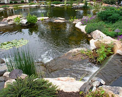 Плавальний Экопруд.