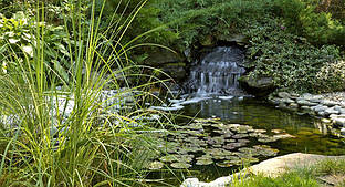 Декоративна водойма біля будинку.