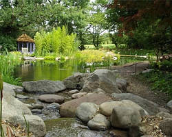 Плавальний ставок на ділянці біля будинку.