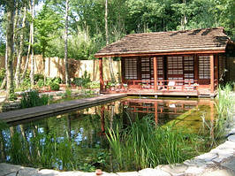 Экопруд возле бани.