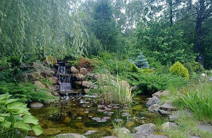 Экопруд з водоспадом. Очищення води за допомогою водних рослині.