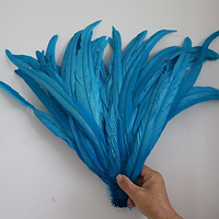 Перья петуха Цвет Голубой 28-35см