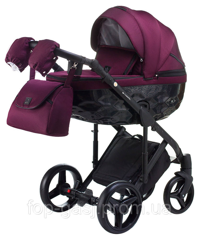 Дитяча коляска 2 в 1 Adamex Chantal BC10