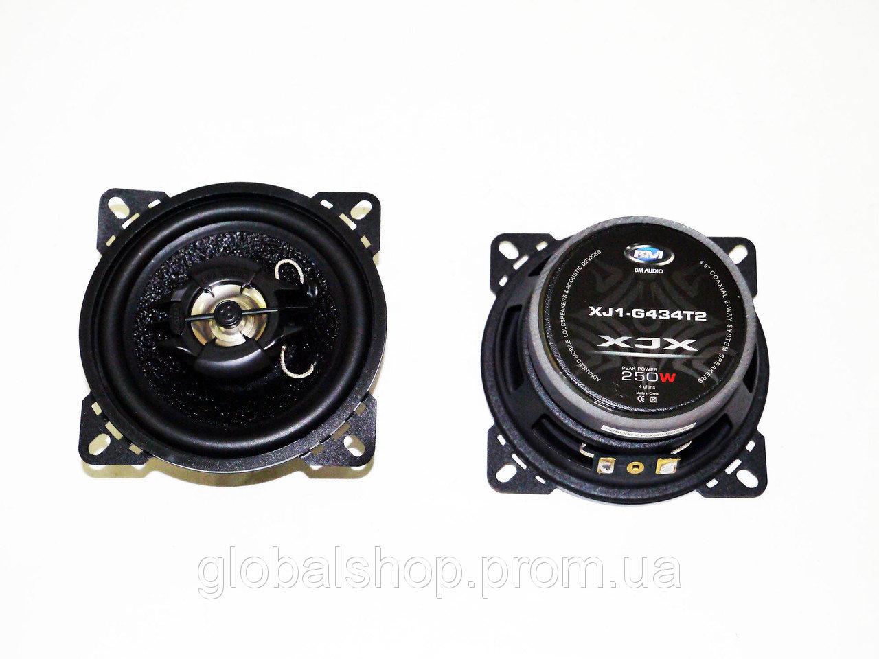 BOSCHMANN XJ1-G434T2 колонки 10 см - фото 6 - id-p1007516845