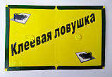 Клейова пастка від гризунів Велика Книжка21*32 см ARGUS, фото 4
