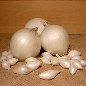 Сноуболл цибуля-сівок(тиканка) TOP Onionsets Голландія 250 грам, фото 1
