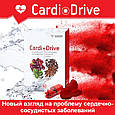 КардиоДрайв (CardioDrive) VISION - подвійна допомогу серцю, фото 8