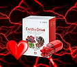 КардиоДрайв (CardioDrive) VISION - подвійна допомогу серцю, фото 9