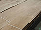 Шпон з деревини Горіха Європейського - 0,6 мм I ґатунок - довжина від 2 до 3.80 м / ширина від 10 см+, фото 2