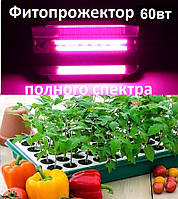 Світлодіодний led-фітопрожектор LEDTech, фітосвітильник повного спектра 60 Вт