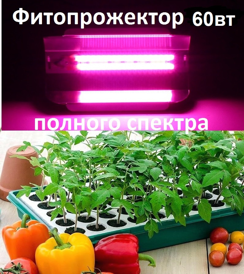 Світлодіодний led-фітопрожектор LEDTech, фітосвітильник повного спектра 60 Вт