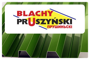 Профнастил Т 10 " Blachy Pruszynski " RAL 6005 - PE 0,45 мм MARCHEGALIA - фото 6 - id-p561583026