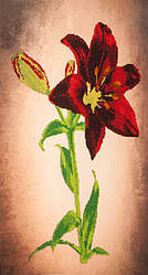 Вышивка бисером Волшебная страна Красная лилия (FLF038) 35 х 45 см